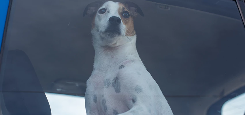 Car Lockout Solutions in La Mesa, California